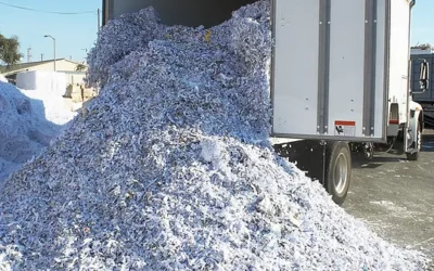 Identity Theft and Shredding: How Shredding Protects Your Privacy?